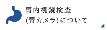 胃内視鏡検査（胃カメラ）について