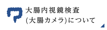 大腸内視鏡検査（大腸カメラ）について